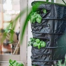 Herb Dryer XL - uscător cu 5 niveluri, filtru de carbon și ventilator pentru ierburi și condimente