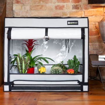 Cort de cultivare HOMEbox Ambient Q100+