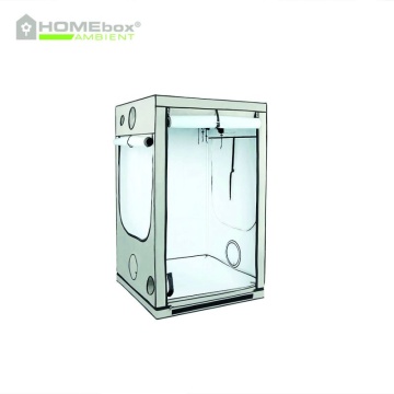 Cort de cultivare HOMEbox Ambient Q120