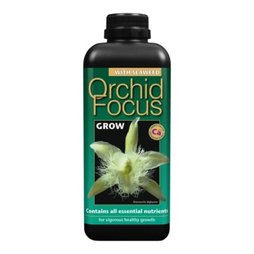 Orchid Focus Grow