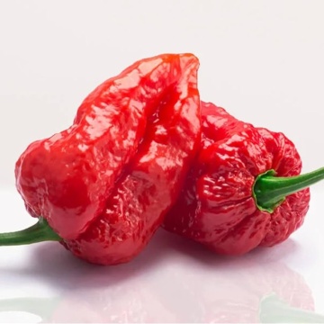 Semințe ardei iute Capsicum chinense – „Bhut Jolokia” - 10 buc. - Img 3