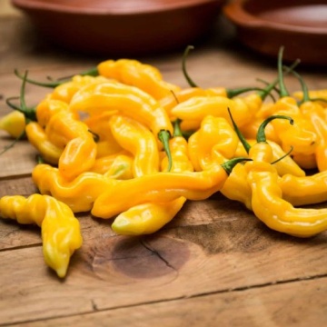 Semințe ardei iute Madame Jeanette (Capsicum chinense) - 15 buc - Img 2