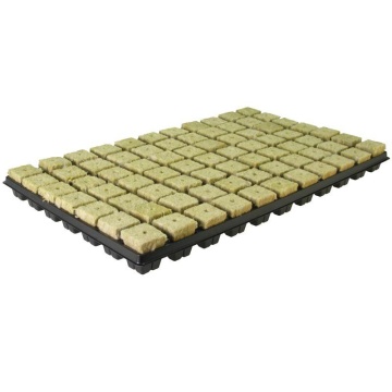 Tavă pentru germinare cu vată minerală Grodan