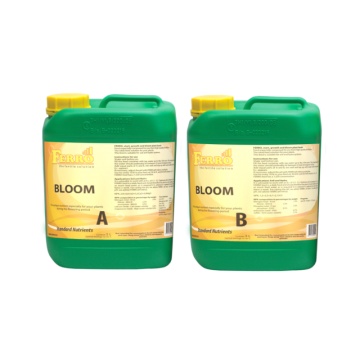 Ferro BLOOM A + B