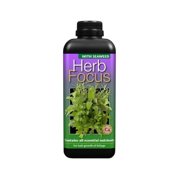Herb Focus – îngrășământ complet pentru ierburi aromatice și verdețuri