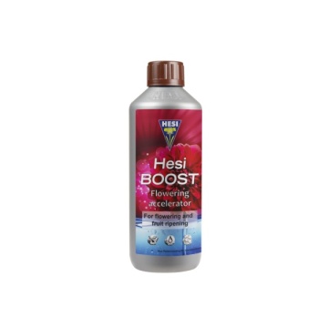 HESI BOOST
