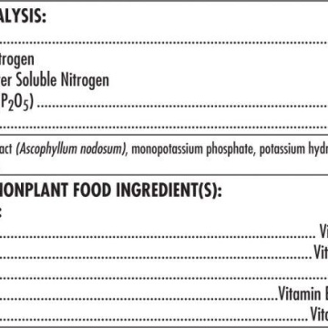 B-52 – Biostimulator imunitar și metabolic cu vitamine