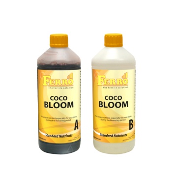 Ferro COCO BLOOM A&B