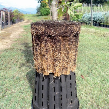 Ghiveci air pruning ERCOLE Gri - Stimulează dezvolării rădăcinii