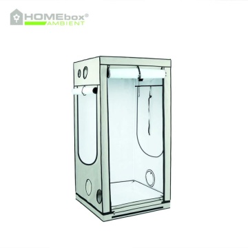 Cort de cultivare HOMEbox Ambient Q100