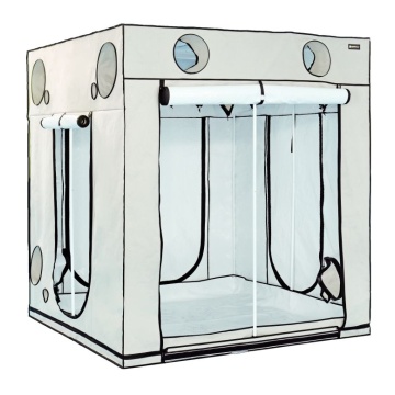Cort de cultivare HOMEbox Ambient Q200+