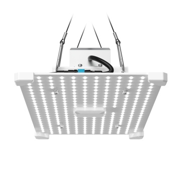 LUMii BLACK Blade LED 100W, PPF 260 µmol/s - lampă horticolă led pentru creștere