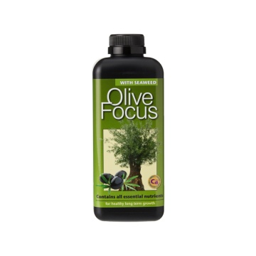 Olive Focus – Îngrășământ lichid pentru măslini