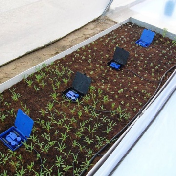 AutoPot AQUAbox Straight - sistem de auto-irigare gravitațional pentru sol