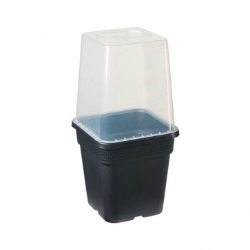 Capac tip seră pentru ghiveci pătrat Vega 11L