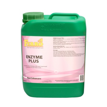 Ferro ENZYM PLUS