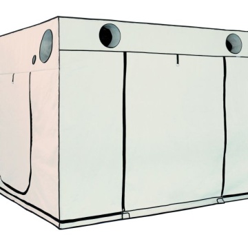 Cort de cultivare HOMEbox Ambient Q300+