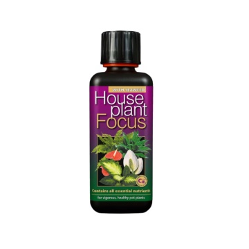 House Plant Focus - Îngrășământ pentru plante de interior
