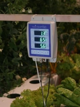 Monitor Bluelab Guardian – pH, EC și temperatură