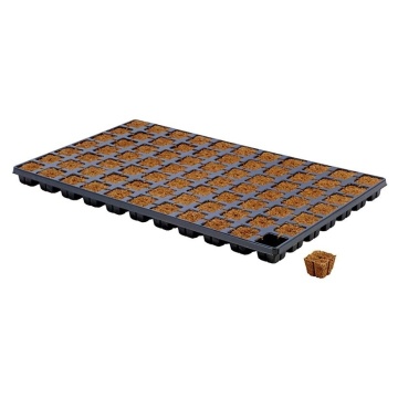 Set Tavă pentru germinare + cuburi Eazy Plug