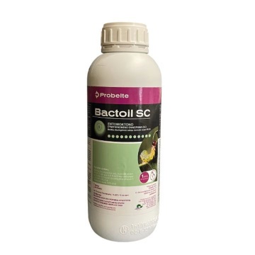 Bactoil SC - Insecticid organic, ingredient activ. Bacillus thuringiensis cu acțiune selectivă împotriva lepidopterelor (omizilor)