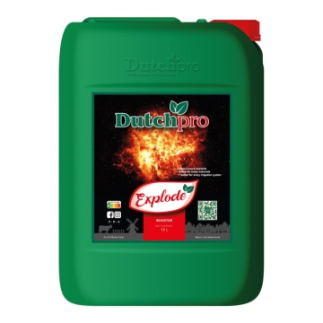 Dutchpro Explode