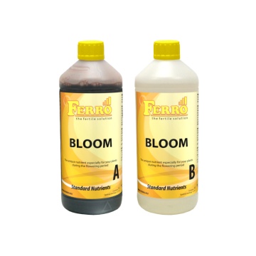 Ferro BLOOM A + B