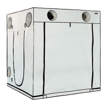 HOMEbox Ambient Q200+ - Cort de cultivare 200x200x220cm