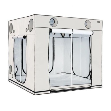 HOMEbox Ambient Q240+ – cort de creștere 240 × 240 × 220 cm