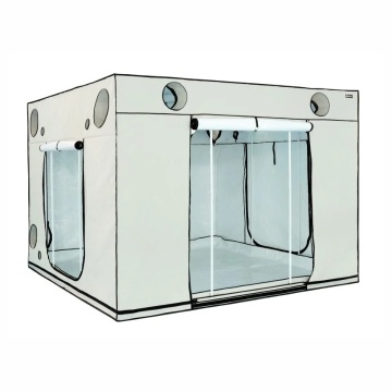 HOMEbox Ambient Q300+ - Cort de cultivare 300x300x220cm