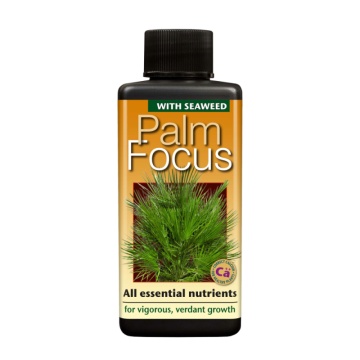 Palm Focus - Îngrășământ pentru Palmieri