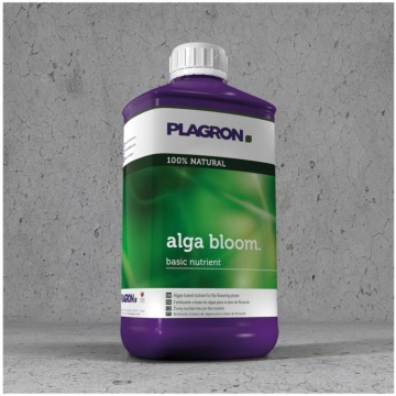PLAGRON Alga Bloom – Îngrășământ din alge marine pentru faza de înflorire