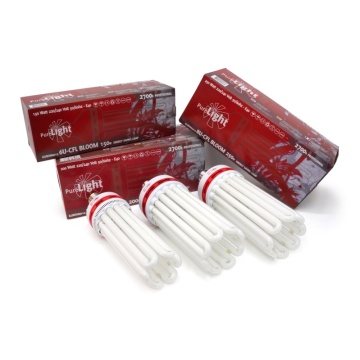 PURE LIGHT CFL - lampă CFL 2700K pentru etapa de înflorire