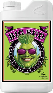 Big Bud