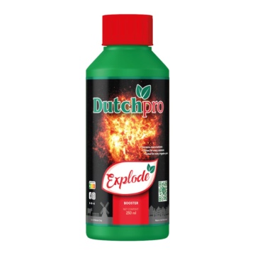 Dutchpro Explode - Booster pentru înflorire