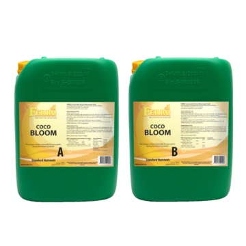 Ferro COCO BLOOM A&B