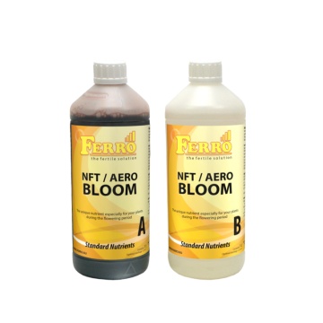 Ferro NFT / AERO, DWC BLOOM A&B
