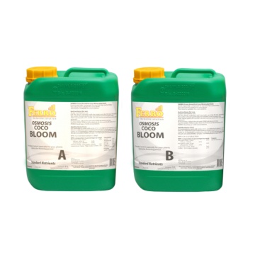 Ferro OSMOSIS COCO BLOOM A&B