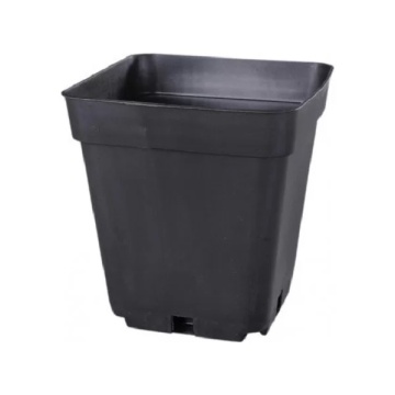 Ghiveci pătrat pentru răsaduri - diverse dimensiuni
