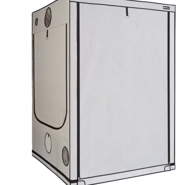 Cort de cultivare HOMEbox Ambient Q150+