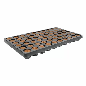 ROOT!T Dry Peat Free Plug 60 - Cuburi pentru germinare și înrădăcinare