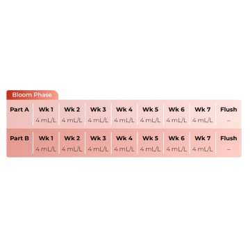 Set pH Perfect Sensi Bloom A+B