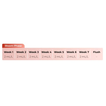 Bud Factor X – Biostimulator pentru susținerea fazei de înflorire și potențarea aromei