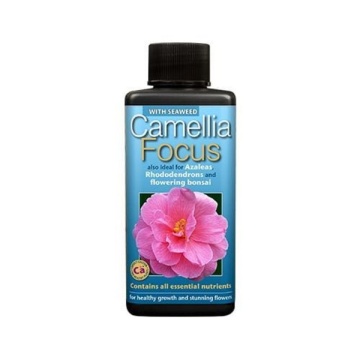 GROWTH TECHNOLOGY CAMELLIA FOCUS