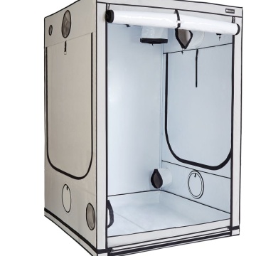 Cort de cultivare HOMEbox Ambient Q150+