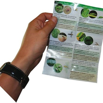 Lupă Active Eye 30x