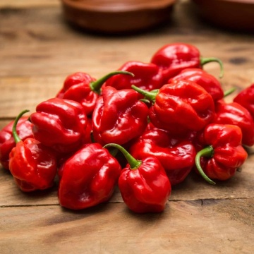 Seminte ardei iute - Habanero Red - 25 buc.