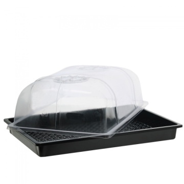 SERA PLASTIC 60X40X23CM - miniseră pentru germinare, răsaduri și înrădăcinare