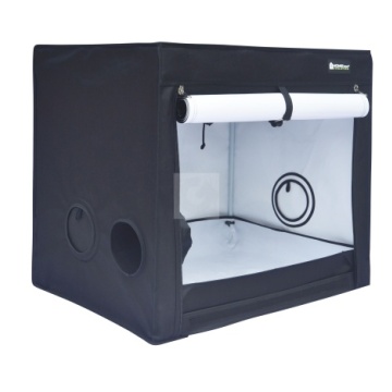 CORT HOME BOX EVOLUTION Q80S 80X80X50 CM