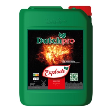 Dutchpro Explode